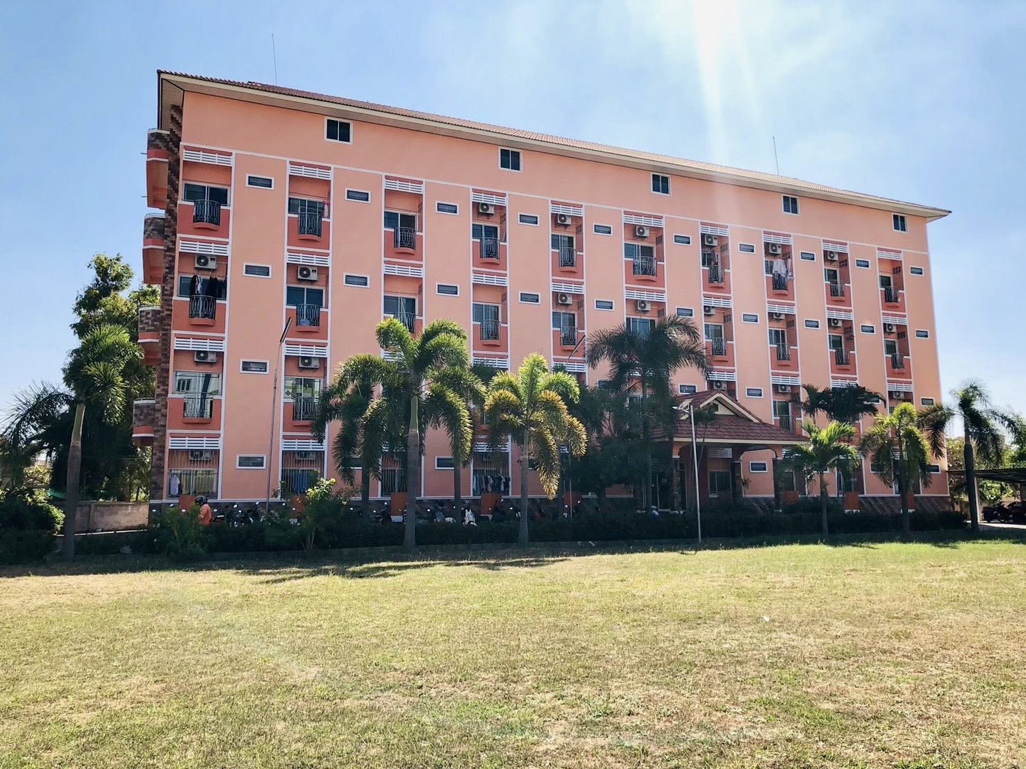 สนามหญ้าสีเขียว